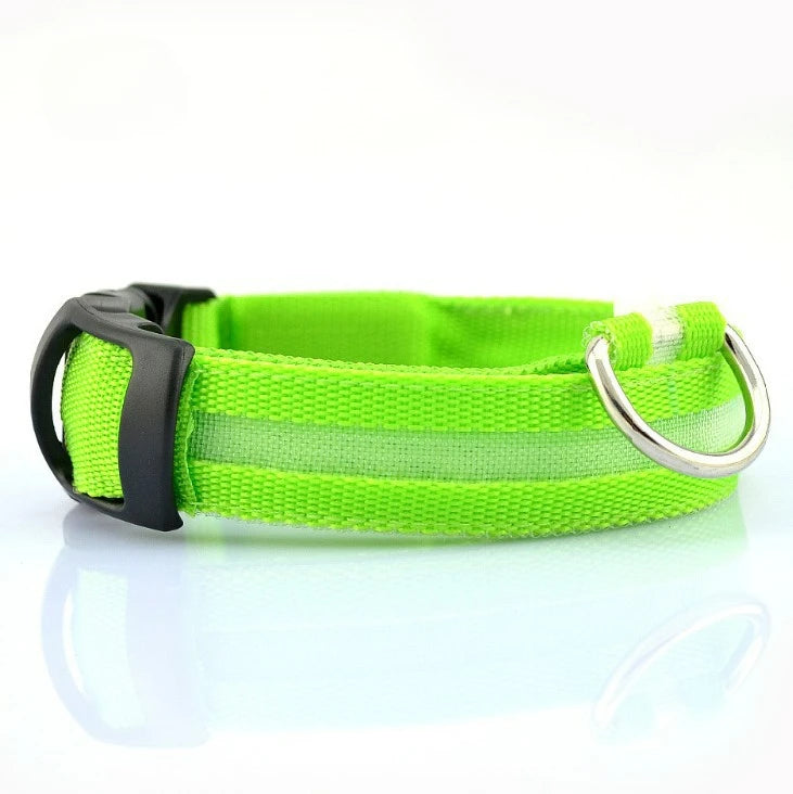 LED Reflective Dog Collar – Night Safety for Small & Medium Dogs