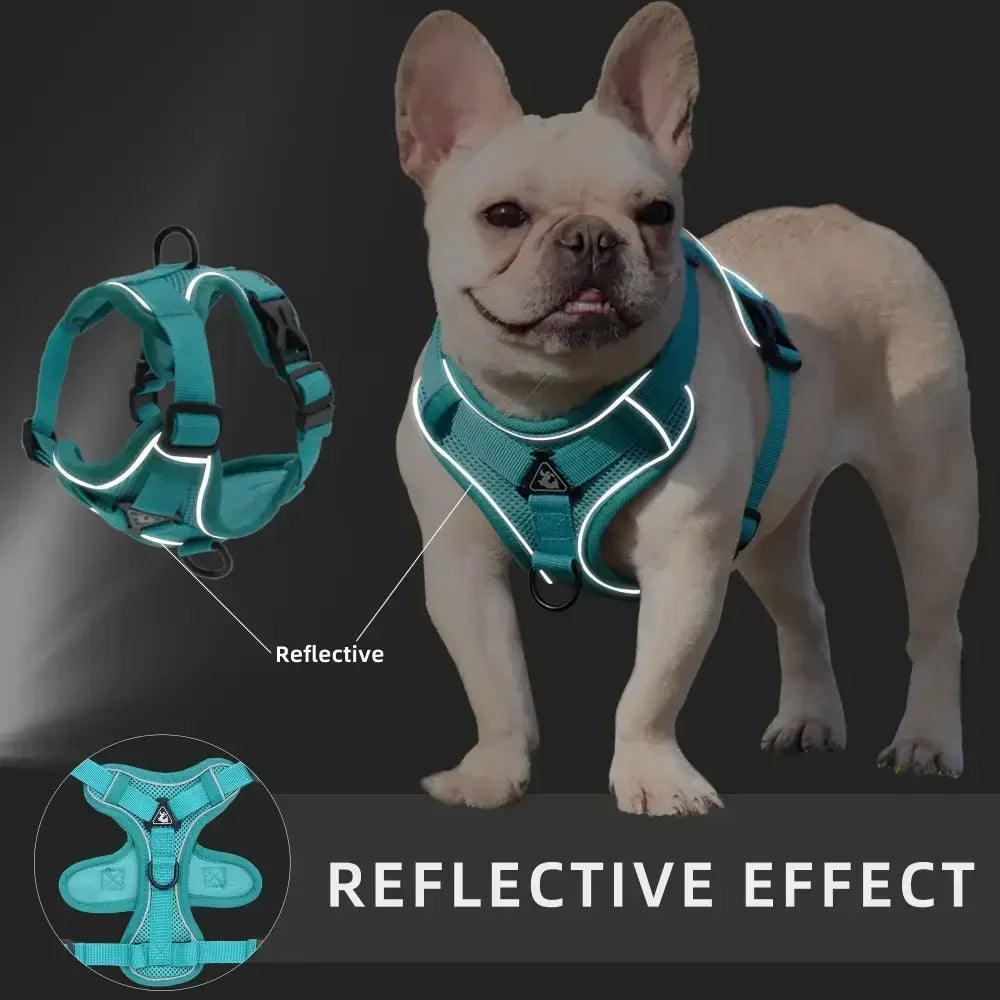 No-Pull Reflective Pet Harness & Leash Set – Adjustable for Small Dogs