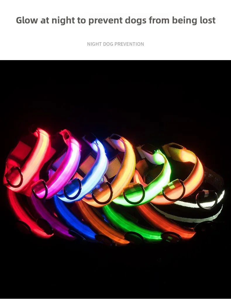 LED Reflective Dog Collar – Night Safety for Small & Medium Dogs