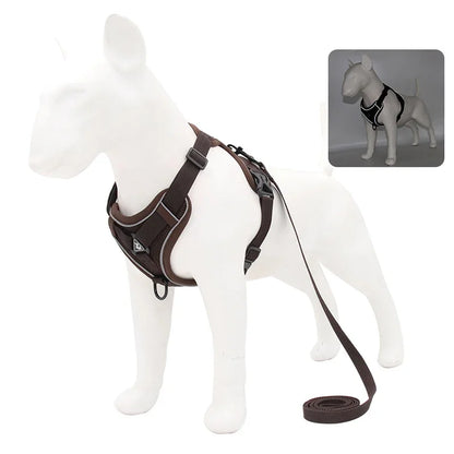 No-Pull Reflective Pet Harness & Leash Set – Adjustable for Small Dogs