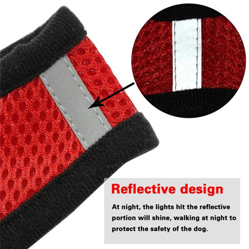 Breathable Reflective Pet Harness & Leash Set – Adjustable for Cats & Small Dogs