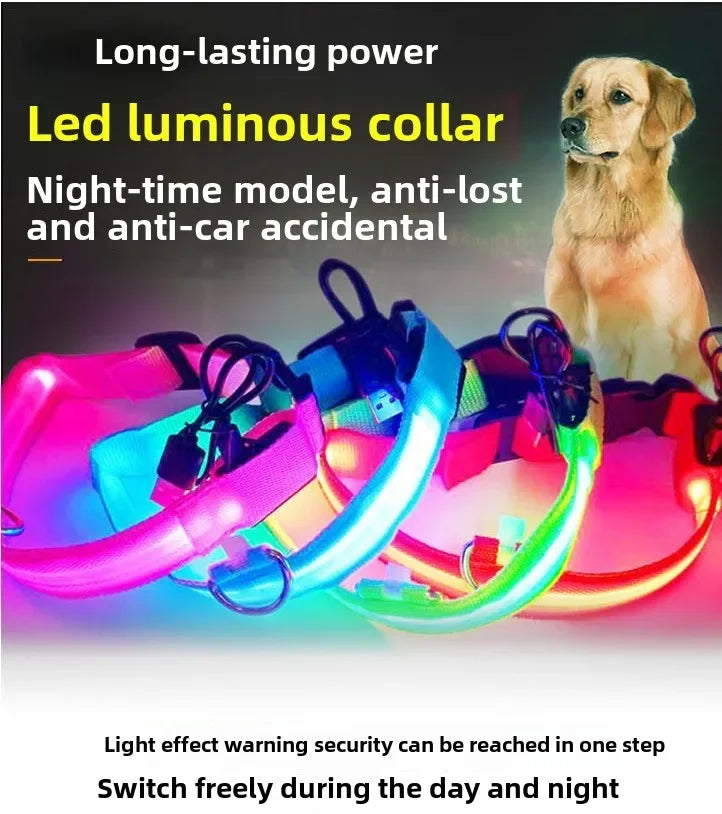 LED Reflective Dog Collar – Night Safety for Small & Medium Dogs