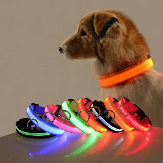 LED Reflective Dog Collar – Night Safety for Small & Medium Dogs