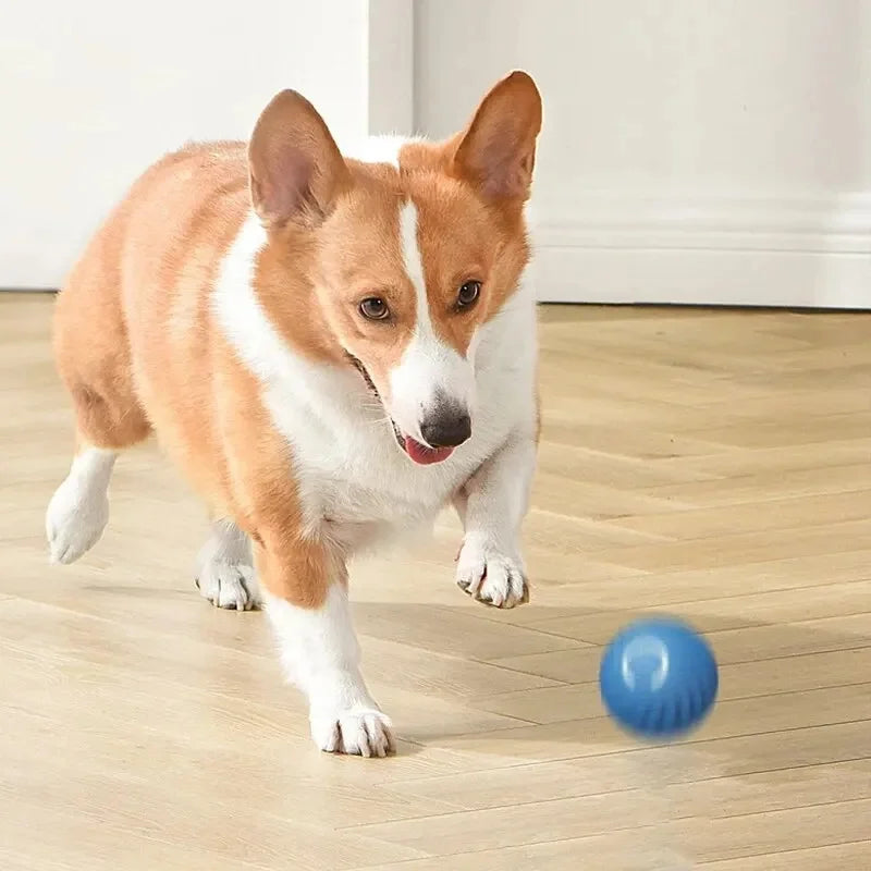 Smart Interactive Pet Ball – USB Rechargeable, Moving & Bouncing Toy