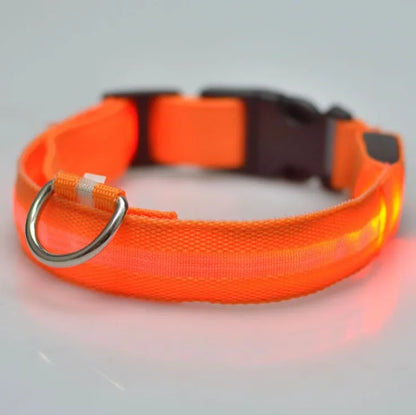 LED Reflective Dog Collar – Night Safety for Small & Medium Dogs