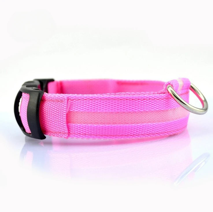 LED Reflective Dog Collar – Night Safety for Small & Medium Dogs