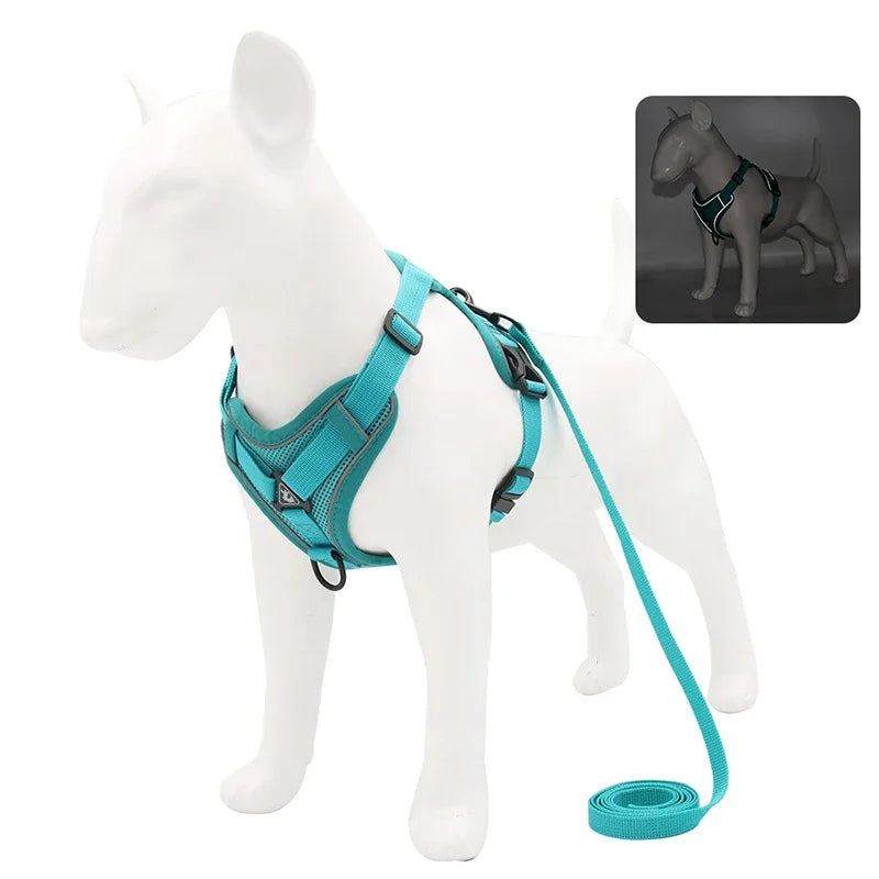 No-Pull Reflective Pet Harness & Leash Set – Adjustable for Small Dogs