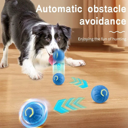 Smart Interactive Pet Ball – USB Rechargeable, Moving & Bouncing Toy