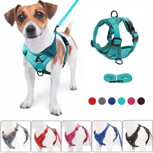 No-Pull Reflective Pet Harness & Leash Set – Adjustable for Small Dogs