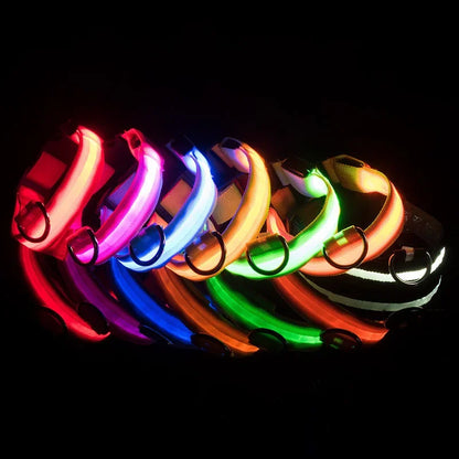 LED Reflective Dog Collar – Night Safety for Small & Medium Dogs