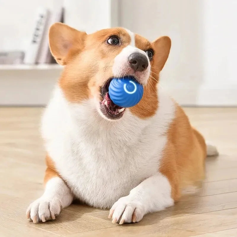 Smart Interactive Pet Ball – USB Rechargeable, Moving & Bouncing Toy