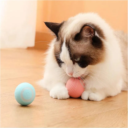 Smart Interactive Pet Ball – USB Rechargeable, Moving & Bouncing Toy