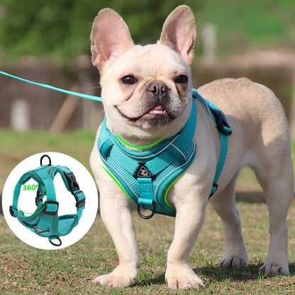 No-Pull Reflective Pet Harness & Leash Set – Adjustable for Small Dogs